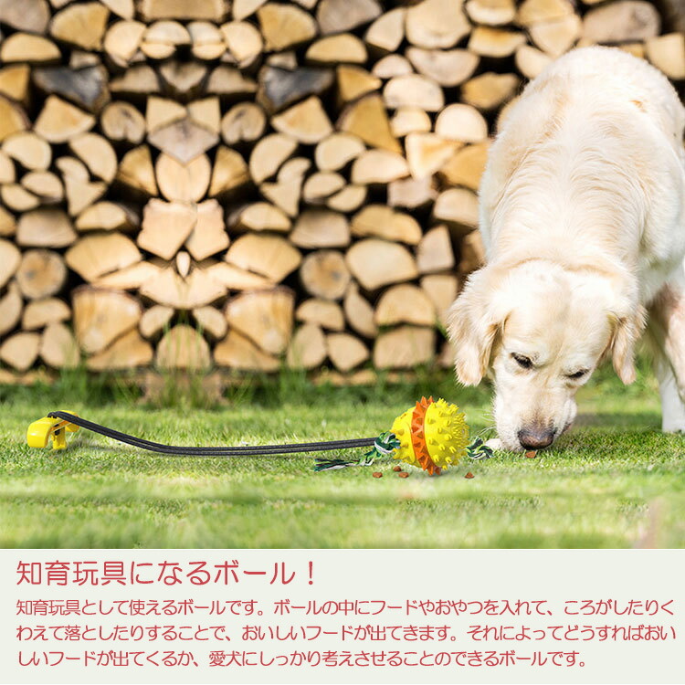 95 Off 犬用おもちゃ 係留ポール ドッグポール 係留ステッキ 噛むおもちゃ ペット用おもちゃ 運動不足 ワンちゃんの歯磨き アンカーボール ストレス解消 Washandlearn Us
