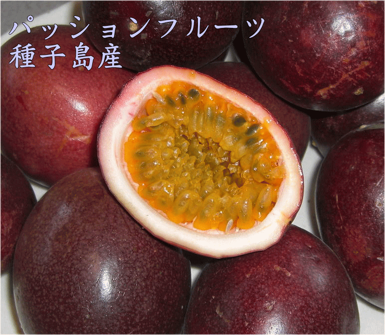 予約　パッションフルーツ 秀品+規格外品混在6ｋｇ　70個前後有機栽培<br>送料無料【別途送料　北海道・東北・沖縄】