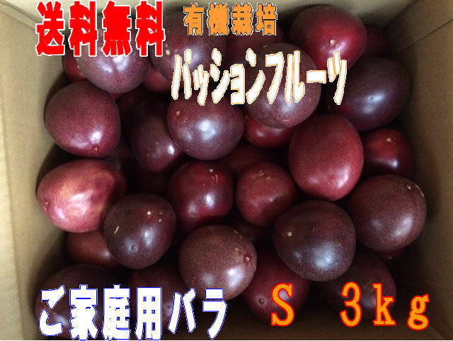 予約　パッションフルーツ3kg S玉50個前後秀品+規格外品バラ詰め 　種子島産<BR>送料無料【北海道・東北・沖縄別途送料が必要】