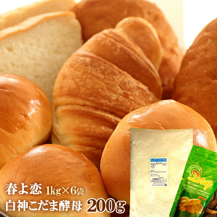 強力粉 パン用小麦粉 春よ恋 6kg ( 1kg×6袋 ) 白神こだま酵母 ドライイースト 200g セット 同梱不可 北海道産 100% パン用強力粉 小麦粉 国産 はるよこい 天然酵母 酵母ドライ 野生酵母 パン作りセット