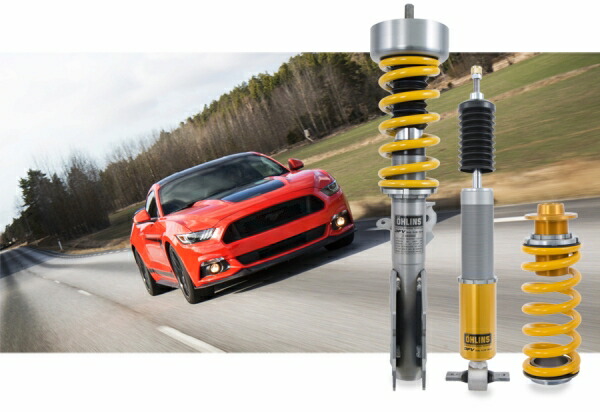 オーリンズ ネジ式車高調整モデル コンプリートキット マスタング 6thジェネレーション 取付セット アライメント込 Ohlins 車高調整キット サスペンションキット ローダウン コイルオーバー 店頭受取対応商品 Opinioncubana Com