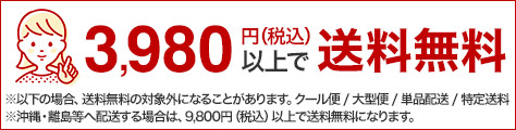 楽天市場】【送料無料(一部地域除く)!!】shesayアンダリ トートバッグ