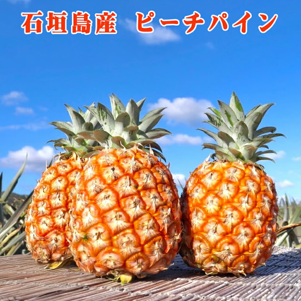 パイナップル フルーツ 果物 南国 ギフト 母の日 沖縄県産 石垣島産 ピーチパイン 3玉/6玉 パイン農家直送 期間限定