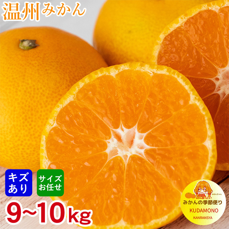 レビュー★4.33 【11月中旬以降から順次ご発送】 安心の自社検品 温州みかん サイズお任せ 9kg 〜 10kg 送料無料 訳あり 和歌山みかん 和歌山 唐津 福岡 福岡みかん 熊本みかん 国産 みかん ご家庭用 佐賀県 唐津 佐賀みかん 福岡県 みかんの季節便り 10kg画像