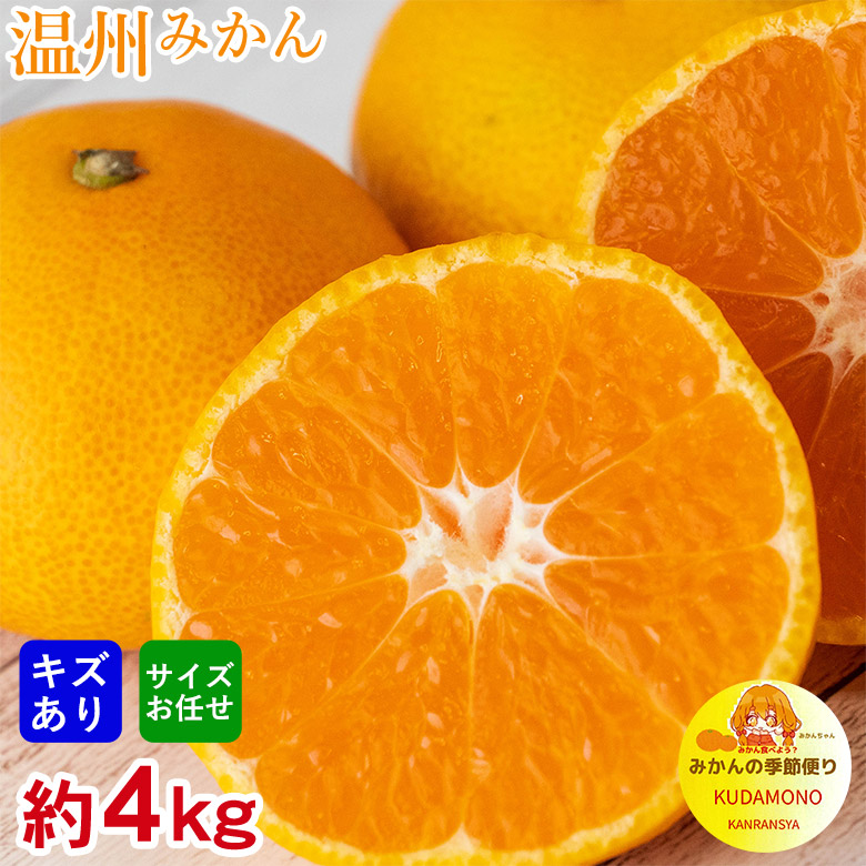 【11月中旬以降から順次ご発送】安心の自社検品 温州みかん 送料無料 訳あり キズあり サイズお任せ 約 4kg みかん 和歌山 唐津 福岡 和歌山みかん 唐津みかん 福岡みかん 熊本みかん 厳選 みかん 国産 国産みかん ご家庭用 みかん 佐賀県 唐津 佐賀和歌山県 福岡県 熊本県画像