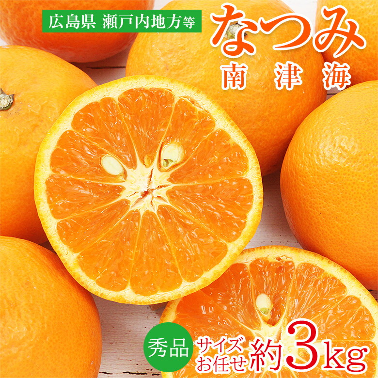 楽天市場】【5月下旬から順次ご発送】 【 南高梅 白加賀梅 鶯宿