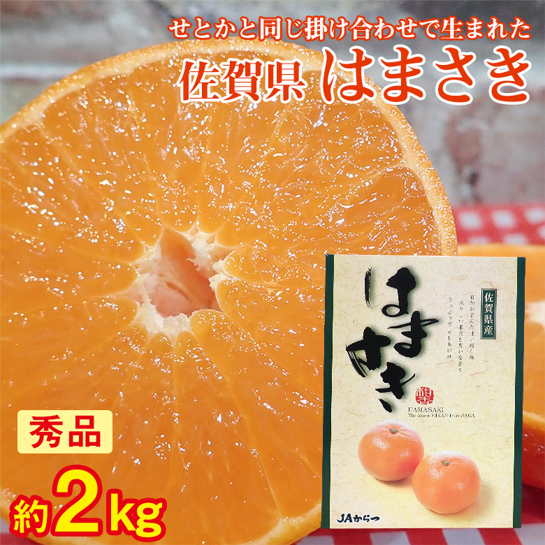楽天市場】【2026年2月下旬〜3月中旬お届け】 愛媛県産 せとか 約3kg