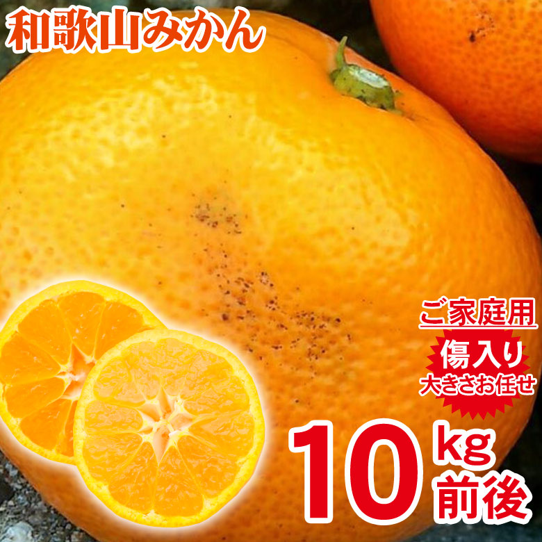 最大62％オフ！ 約 2kg ご家庭用 佐賀県産 唐津みかん 前後 L