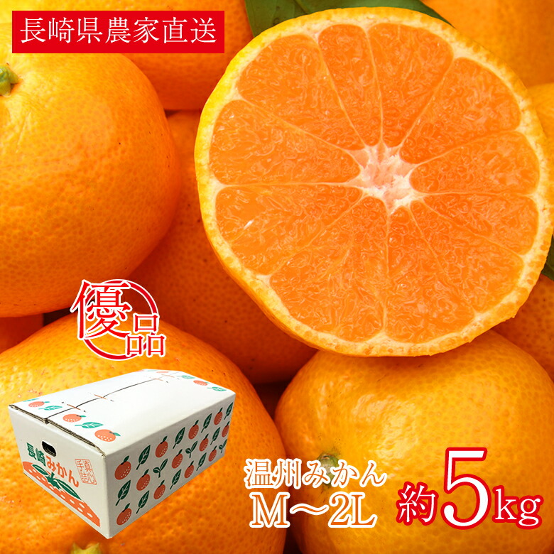 【12月初旬から順次ご発送】 送料無料 優品 家庭用 長崎県産 産地直送 農家直送 温州みかん 早生 大きさお任せ M 〜 2L 約 5kg みかん 国産 国産みかん ご家庭用 長崎県 長崎 温州早生 ご自宅用 果物 くだもの フルーツ ギフト 訳あり画像