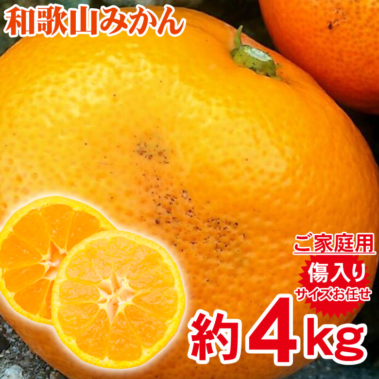【10月下旬から順次ご発送】 キズ有り 訳あり 家庭用 みかん 和歌山県産 和歌山みかん 温州みかん サイズお任せ サイズ混合 サイズおまかせ 4kg 前後 訳あり キズあり 国産 国産みかん ご家庭用 みかん 和歌山 和歌山産 温州早生 ご自宅用 果物 くだもの フルーツ ギフト画像