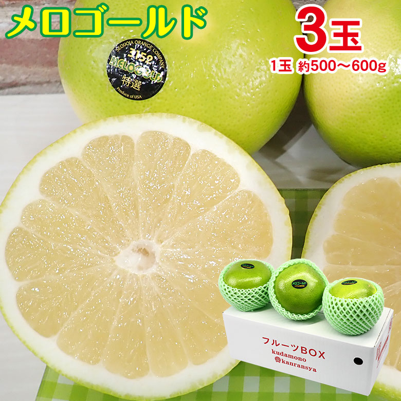 楽天市場】みかん 苗木 スウィーティー（スイーティー）苗木 柑橘