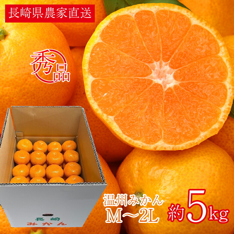 【12月初旬から順次ご発送】 送料無料 秀品 ギフト 家庭用 長崎県産 産地直送 農家直送 温州みかん 早生 大きさお任せ M 〜 2L 5kg みかん 国産 国産みかん ご家庭用 長崎県 長崎 温州早生 ご自宅用 果物 くだもの フルーツ ギフト 訳あり画像
