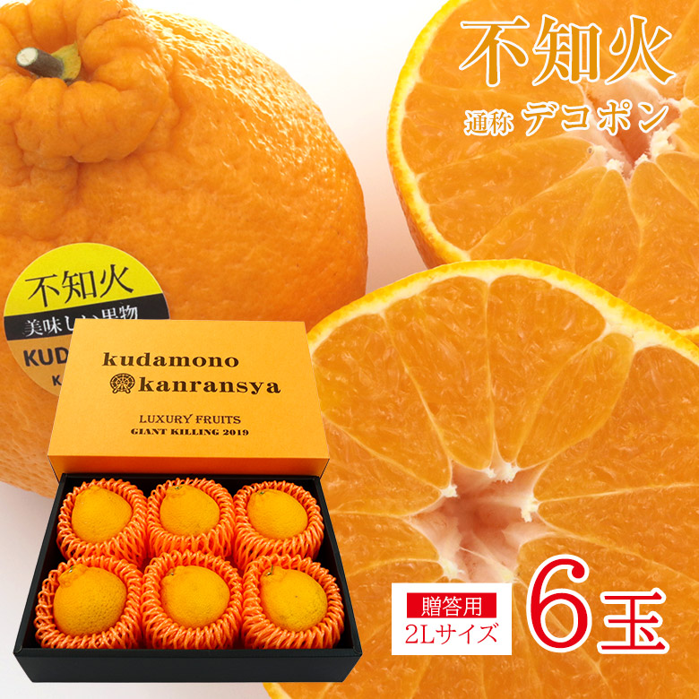 楽天市場】【順次ご発送中】【 不知火 ギフト 2L 6玉 】 安心の自社
