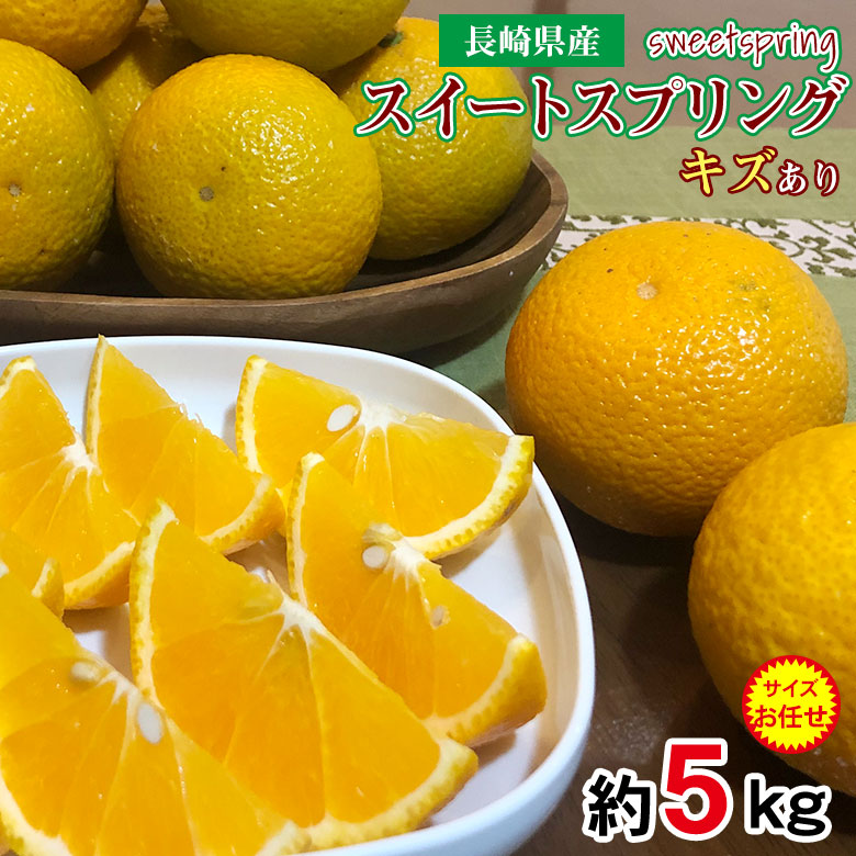 レビュー★4.55 【1月中旬から順次ご発送】 【 スイートスプリング 5kg 】レビュー高評価 送料無料 訳あり ちょっと訳あり 家庭用 産地直送 長崎県 みかん はっさく 八朔 約 5kg 長崎県産 長崎みかん 国産 国産みかん ご家庭用 みかん 温州早生 ご自宅用 果物 くだもの画像