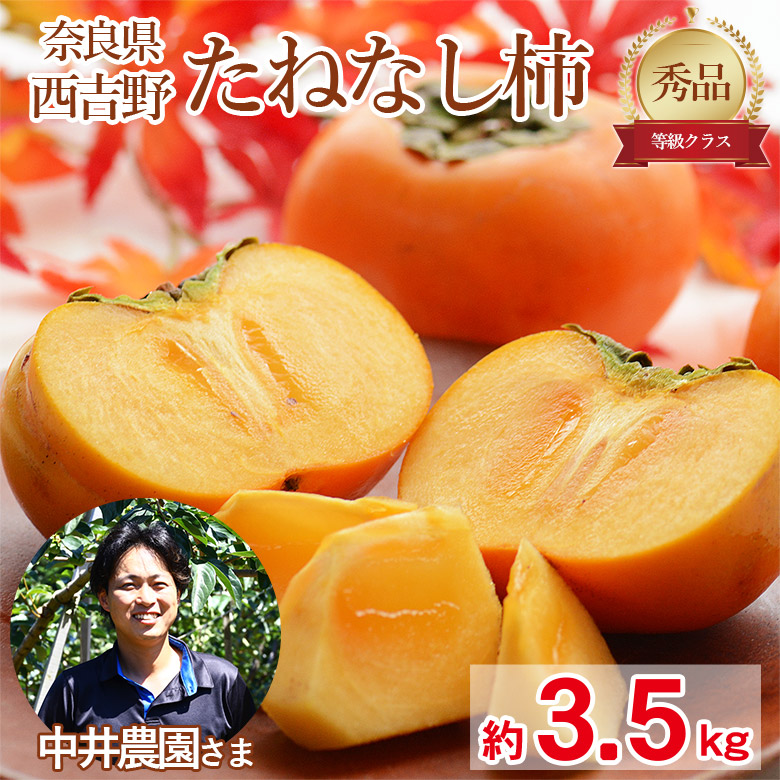 江戸柿　10kg 2L以上　百目　渋柿　奈良県西吉野　農家直送　橋本農園 奈良・吉野産】特別栽培たねなし柿 昔ながらの渋抜き方法で新鮮