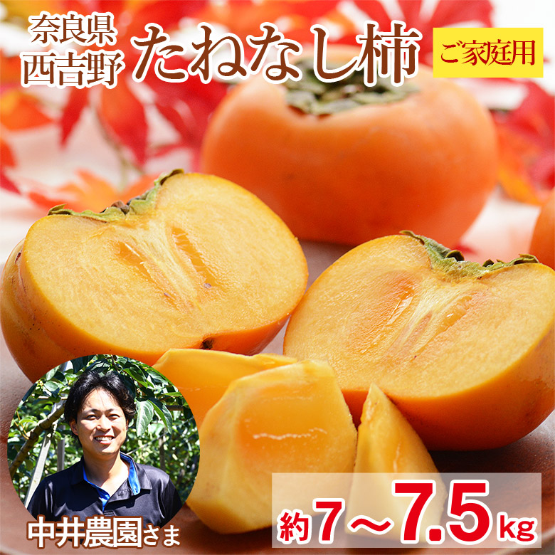 柿 10玉入 刀根柿 刀根かき 種なし 果物 和歌山県 奈良県 佐賀 カキ かき 柿 10玉入 刀根柿 刀根かき 種なし 果物 和歌山県 奈良県 佐賀