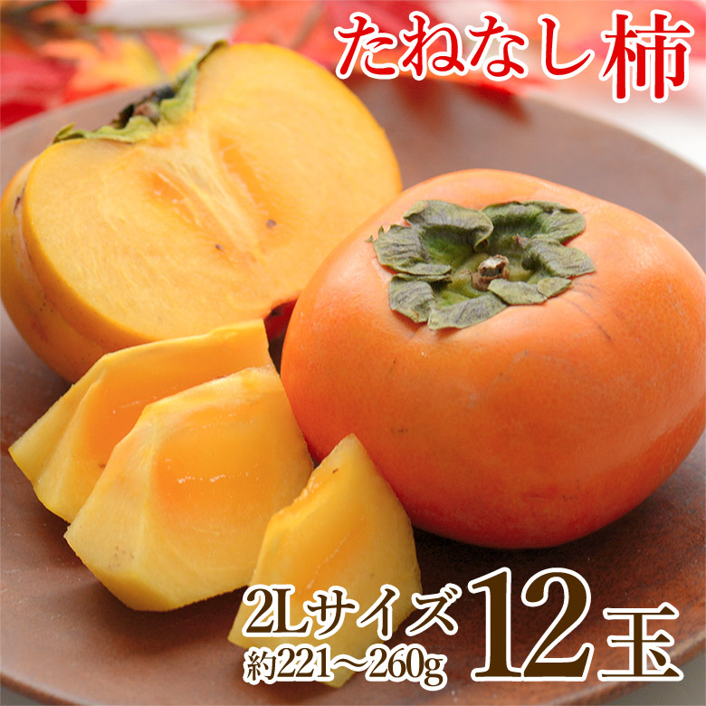 楽天市場】【11/20限定☆1等最大100％ポイントバック！※要エントリー