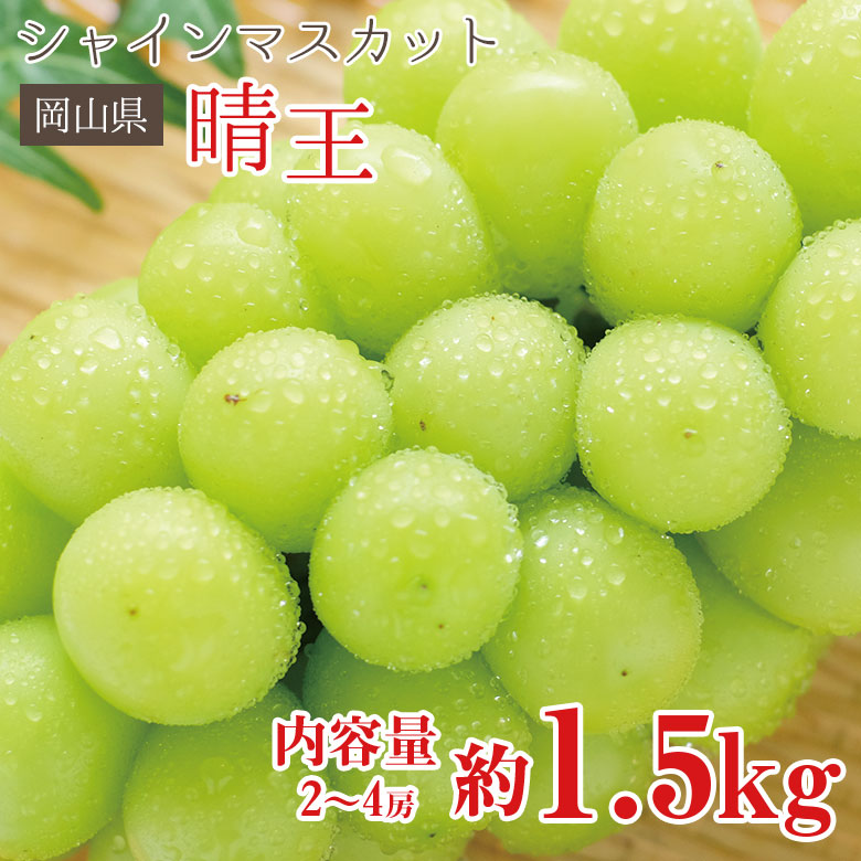 最大84％オフ！ 岡山県産 シャインマスカット 晴王 青秀品 2kg 3〜5房 贈答用 ギフト プレゼント 送料無料 ぶどう fucoa.cl