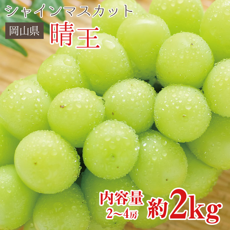 【8月下旬から順次ご発送】 送料無料 シャインマスカット 晴王 岡山県 シャンマスカット 約 2kg 2～4房 岡山 ご家庭用 マスカット ぶどう ギフト お中元 暑中見舞い 訳あり 敬老の日 ギフト プレゼント