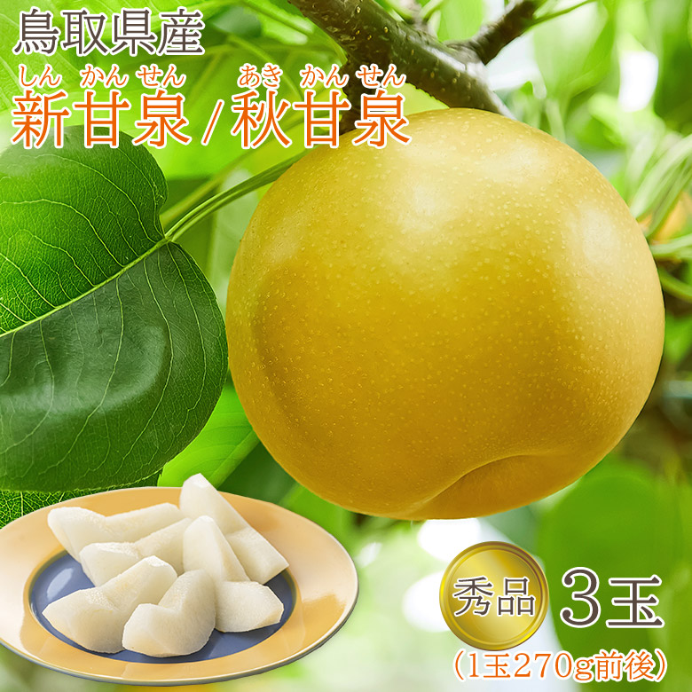 楽天市場】新甘泉 5-6玉 (約2kg) 鳥取産 秀品 しんかんせん 梨