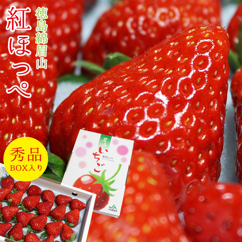 楽天市場 21 順次配送中 送料無料 徳島 徳島県 眉山 いちご イチゴ 紅ほっぺ べにほっぺ 苺 秀品 特大 大粒 ギフトボックス 箱入り 秀品 徳島産 徳島県産 ご家庭用 いちご ケーキ チョコ ギフト お歳暮 誕生日 ギフト プレゼント くだもの観覧車 楽天市場 21 順次配送中 送料無料 徳島 徳島県 眉山 いちご イチゴ 紅ほっぺ べにほっぺ 苺 秀品 特大 大粒 ギフトボックス 箱入り 秀品 徳島産 徳島県産 ご家庭用 いちご ケーキ チョコ ギフト お歳暮 誕生日 ギフト プレゼント くだもの観覧車