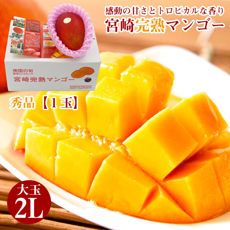 楽天市場】【4月初旬以降から順次ご発送】 【 宮崎完熟マンゴー