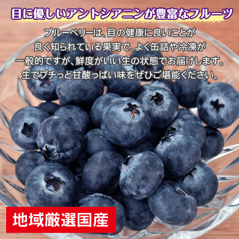 楽天市場 予約受付中 国産 地域厳選 ブルーベリー 国産ブルーベリー 0g 生ブルーベリー 生 フルーツ 国内産 ジャム ケーキ タルト 加工用 ご自宅用 くだもの観覧車