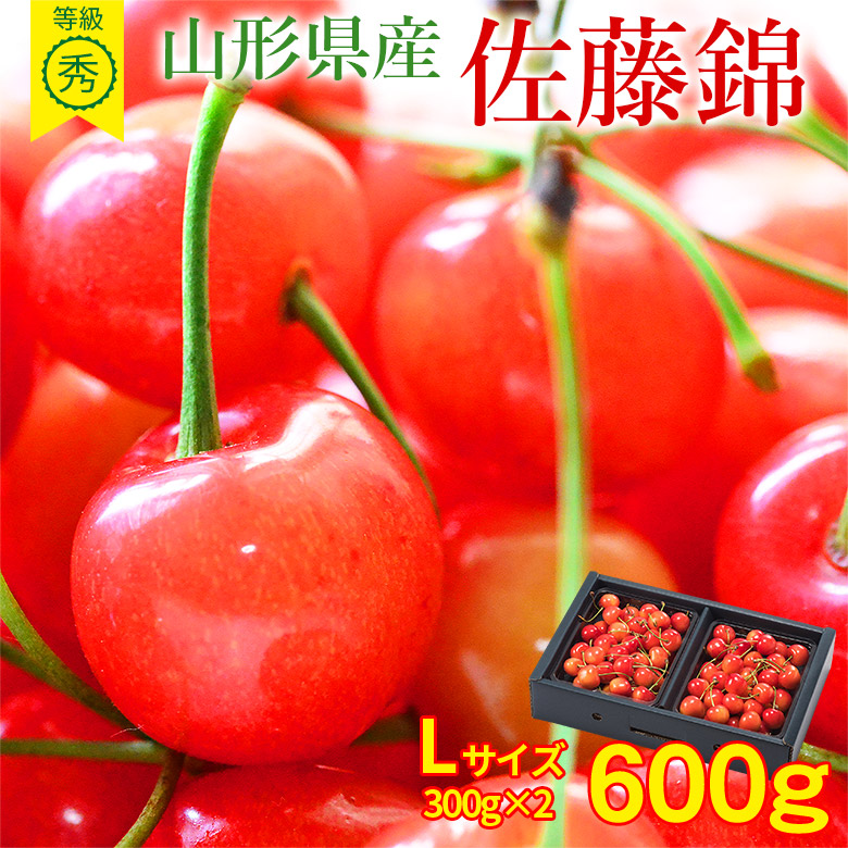 【6月中旬以降から順次ご発送】 送料無料 佐藤錦 さくらんぼ 山形さくらんぼ サクランボ 佐藤錦 Lサイズ 300g × 2パック 合計 600g 産地直送 秀品 等級 秀 ギフト 贈り物 母の日 プレゼント バラ詰め 贈答品 お中元 お取り寄せ