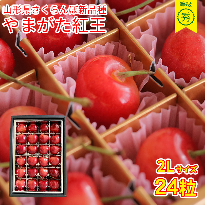 【6月中旬以降から順次ご発送】 送料無料 やまがた紅王 2L 24粒 さくらんぼ 山形さくらんぼ サクランボ 大玉 山形県 山形 紅王 新品種 産地直送 秀品 等級 秀  ギフト 贈り物 父の日 プレゼント