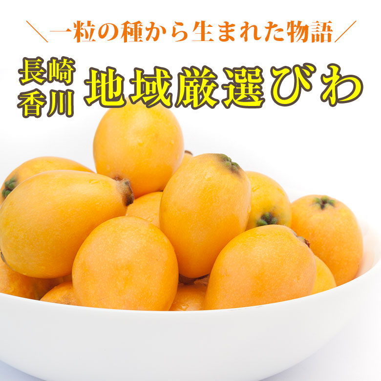 楽天市場 順次配送中 送料無料 長崎びわ 香川びわ 長崎県 長崎県産 香川県 香川県産 茂木 びわ ビワ 枇杷 1kg 前後 国産 秀品 ギフト 化粧箱入り 訳あり ご自宅用 加工用 果物 くだもの フルーツ ギフト 訳あり くだもの観覧車