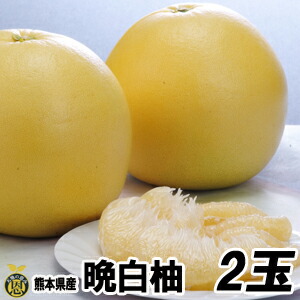 楽天市場 熊本 みかん 柑橘類 ばんぺいゆ 熊本八代産の晩白柚 バンペイユ 熊本のフルーツふるさと果樹園安田