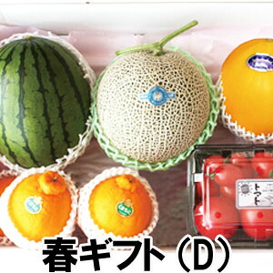 春ギフト（D）【送料無料】熊本県産　小玉スイカ　デコポン　高級メロン　贈答