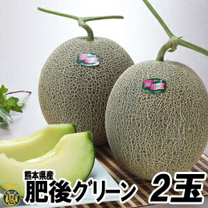 肥後グリーンメロン 2玉（1.7kg×2玉）【送料無料】高級 メロン　贈答　ギフト