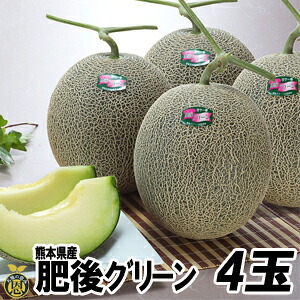 肥後グリーンメロン4玉（1.7kg&times;4玉）【送料無料】高級 メロン　贈答　ギフト｜熊本産直センター店 9,525円
