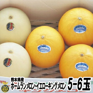 ホームランメロン・イエローキング5-6玉【送料無料】熊本県産