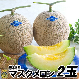 マスクメロン２玉（1.5kg×2玉）【送料無料】熊本県産 高級メロン　贈答　ギフト