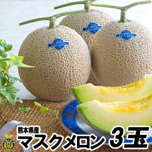 マスクメロン3玉（1.5kg&times;3玉）【送料無料】熊本県産 高級メロン　贈答　ギフト｜熊本産直センター店 8,436円