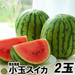 小玉スイカ２玉【送料無料】熊本県産　小玉　西瓜