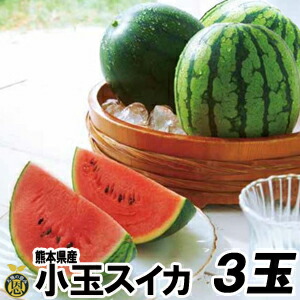 小玉スイカ３玉【送料無料】熊本県産　小玉　西瓜
