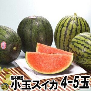 小玉スイカ4～5玉【送料無料】熊本県産　小玉　西瓜