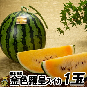 金色羅皇スイカ1玉【送料無料】熊本県産　こんじきらおう　甘い　幻の西瓜　黄色果肉