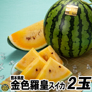 金色羅皇スイカ2玉【送料無料】熊本県産　こんじきらおう　甘い　幻の西瓜　黄色果肉