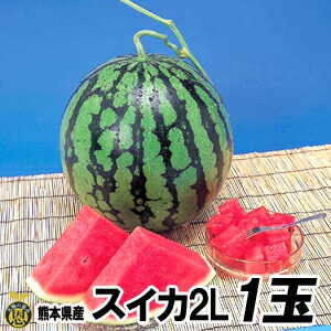 スイカ　２Ｌサイズ 1玉（約７ｋｇ）【送料無料】熊本県産　西瓜