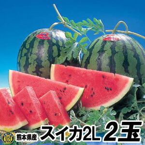 スイカ　２Ｌサイズ 2玉（約７ｋｇ）【送料無料】熊本県産　西瓜