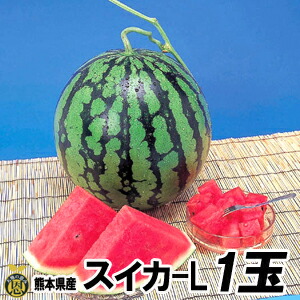 スイカ　Ｌサイズ 1玉（約６ｋｇ）【送料無料】熊本県産　西瓜