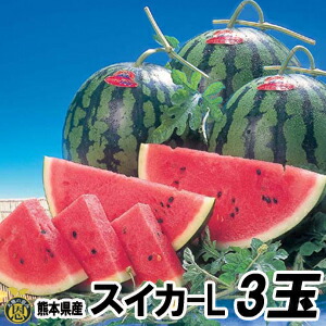 スイカ　Ｌサイズ 3玉（約６ｋｇ）【送料無料】熊本県産　西瓜
