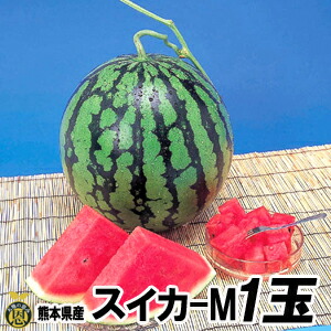 スイカ　Mサイズ 1玉（約５ｋｇ）【送料無料】熊本県産　西瓜