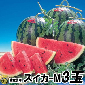 スイカ　Mサイズ 3玉（約５ｋｇ）【送料無料】熊本県産　西瓜