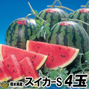 スイカ　Sサイズ 4玉（約4ｋｇ）【送料無料】熊本県産　西瓜