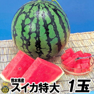 スイカ　特大サイズ 1玉（約８ｋｇ）【送料無料】熊本県産　西瓜
